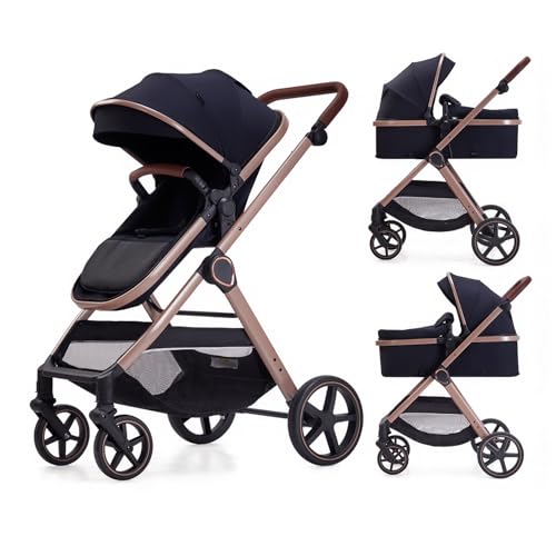 Lortsybab 2 in 1 Baby Stroller